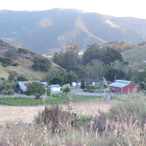 Higuera Ranch